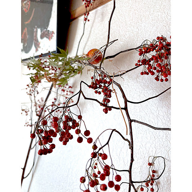 syutmmさんの部屋