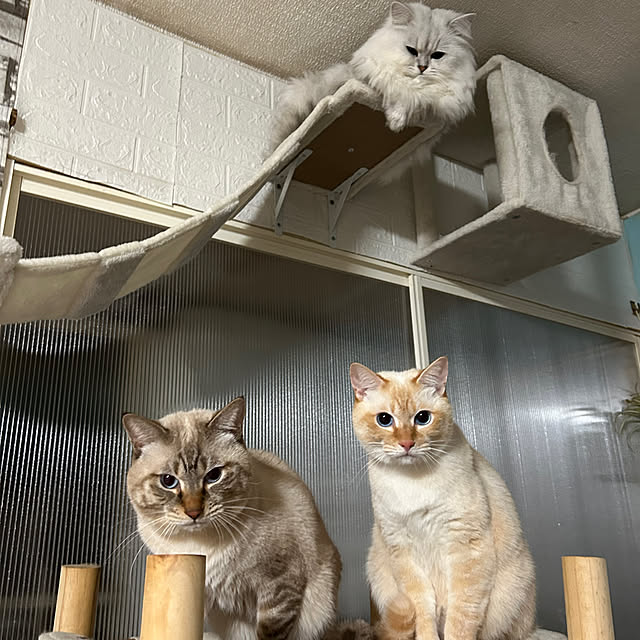 ikunyanさんの部屋