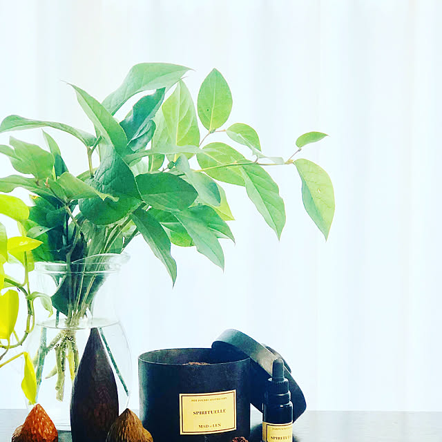 Futaさんの実例写真