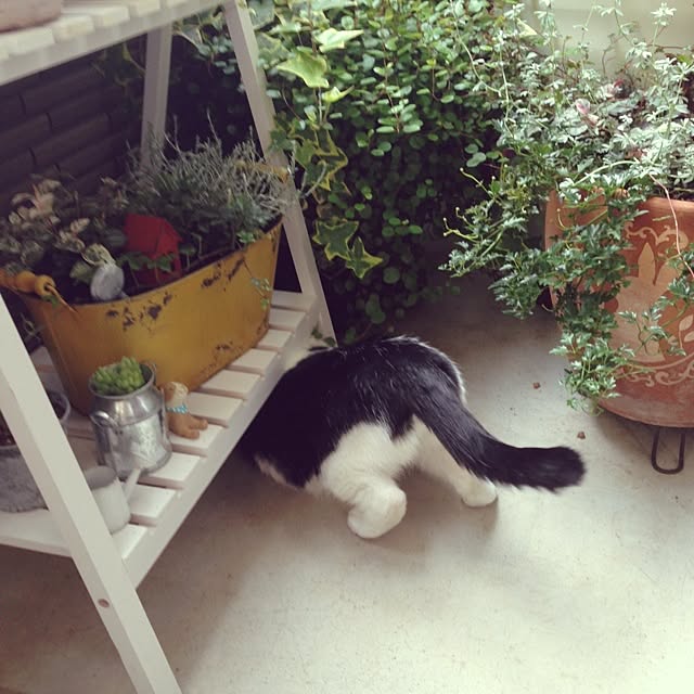 framさんの実例写真