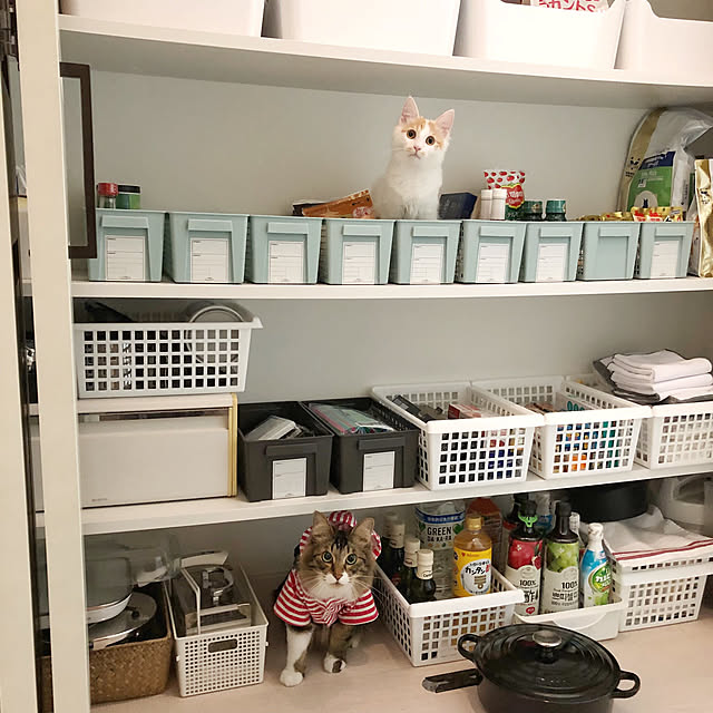 yuchiさんの実例写真