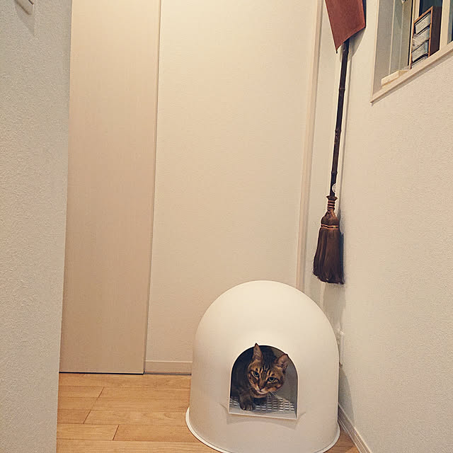 yumikanaさんの実例写真