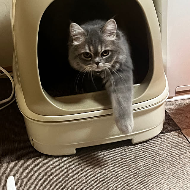 nasuさんの実例写真