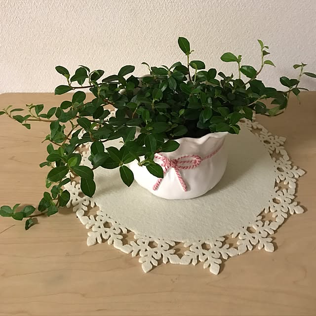 collonさんの実例写真