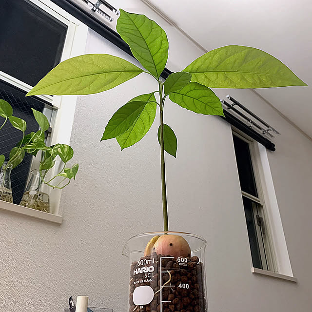 keisukeさんの実例写真