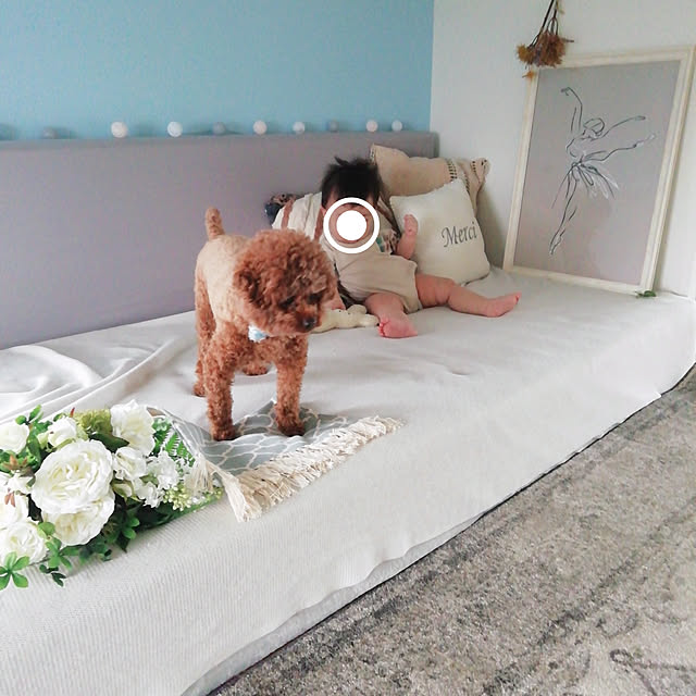Tarutoさんの実例写真