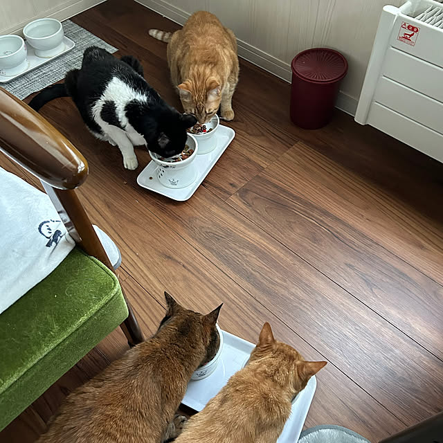 mikeume7さんの実例写真