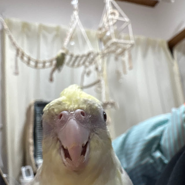 sena.さんの実例写真