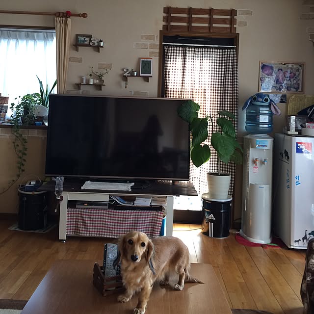 buri_buriさんの実例写真