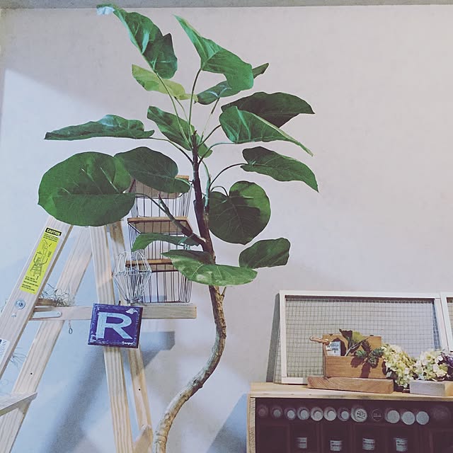 sacchiさんの実例写真