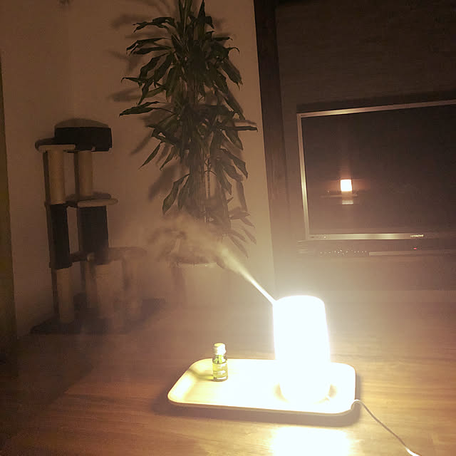 ねこのいる日常/ねこと暮らす/観葉植物/無印良品/多肉植物...などのインテリア実例 - 2019-05-11 04:17:03