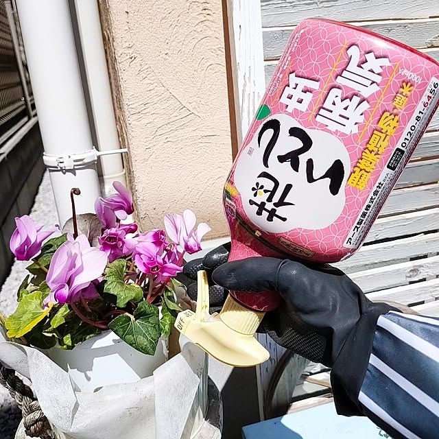 YUKKIさんの実例写真