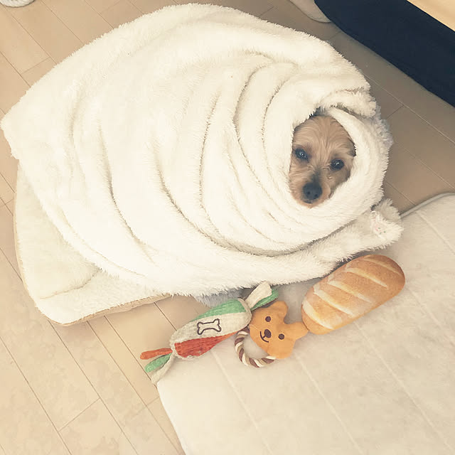 haruさんの実例写真
