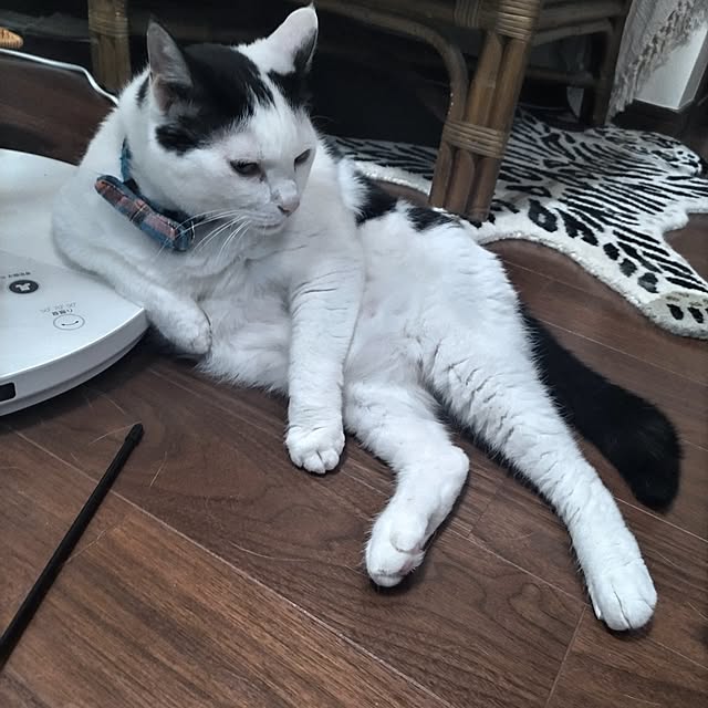 yuuさんの部屋
