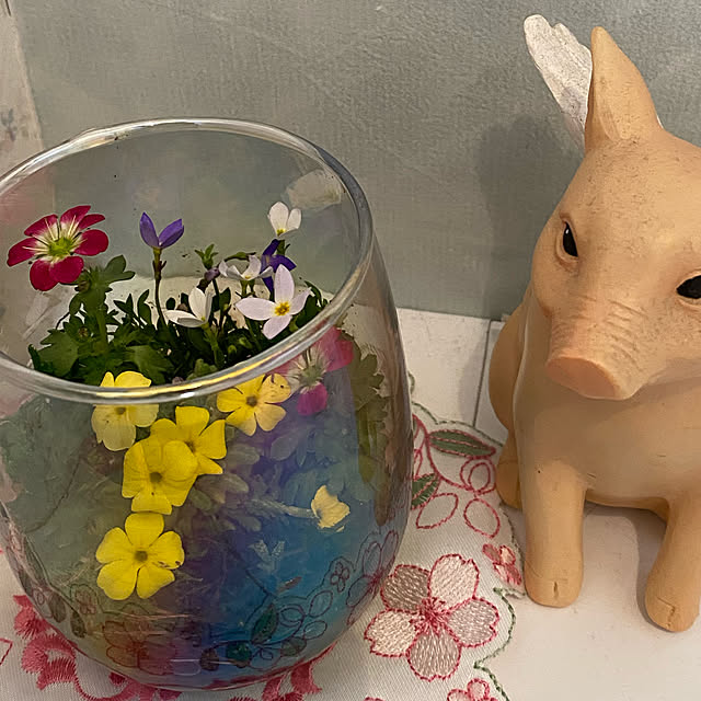 sukkorobiさんの実例写真
