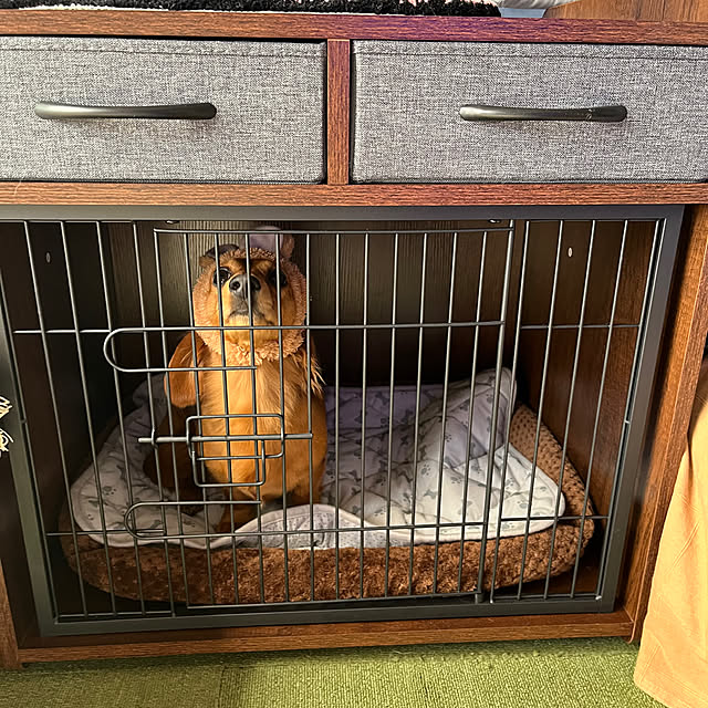 uninekoさんの部屋