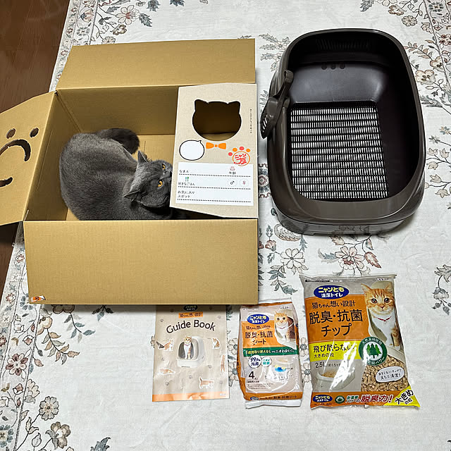 kittyさんの部屋