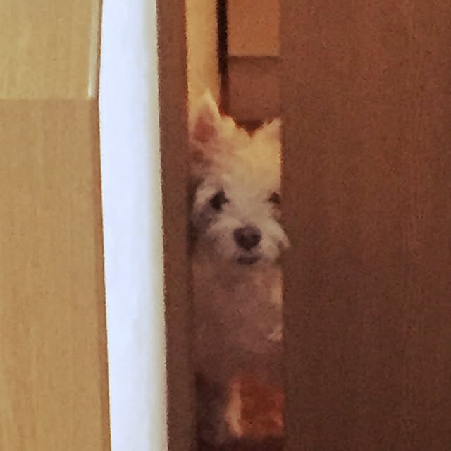 0314さんの実例写真