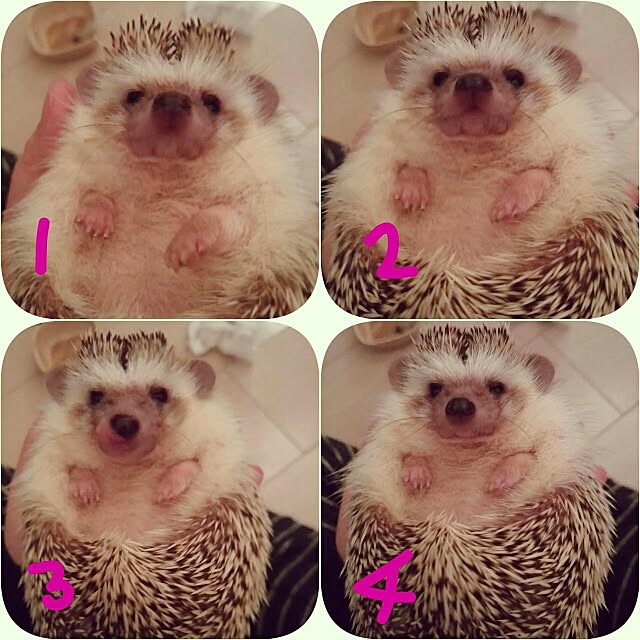 kuruさんの実例写真