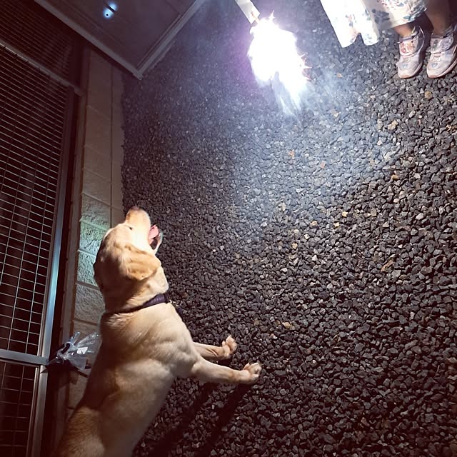 mihiroさんの部屋
