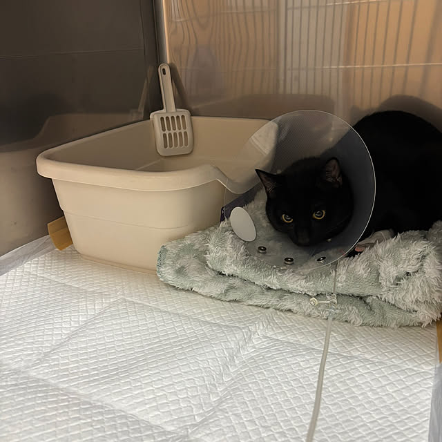 makiさんの実例写真