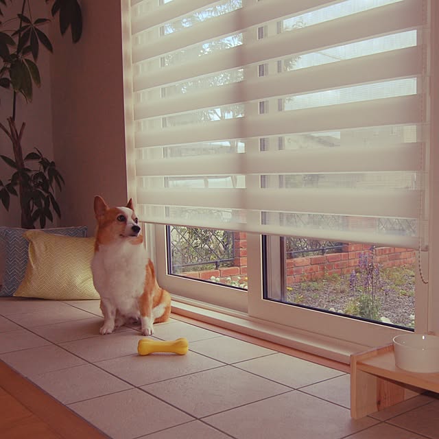 2wansさんの実例写真