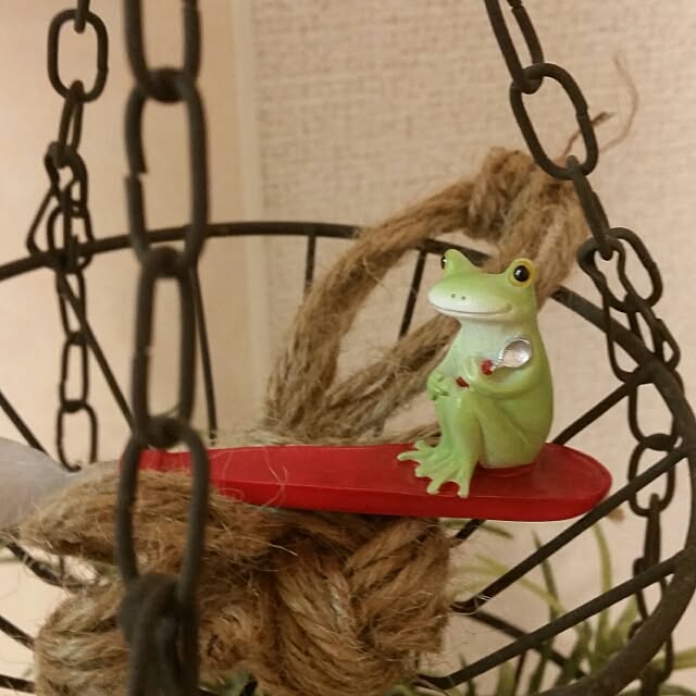 hachiさんの実例写真