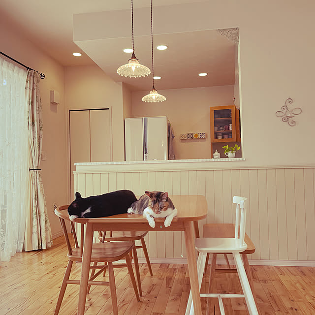 ダイニングテーブル/腰壁/猫のいる風景/無印良品/部屋全体のインテリア実例 - 2021-08-16 18:53:08