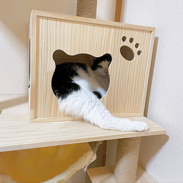 harukaさんの実例写真