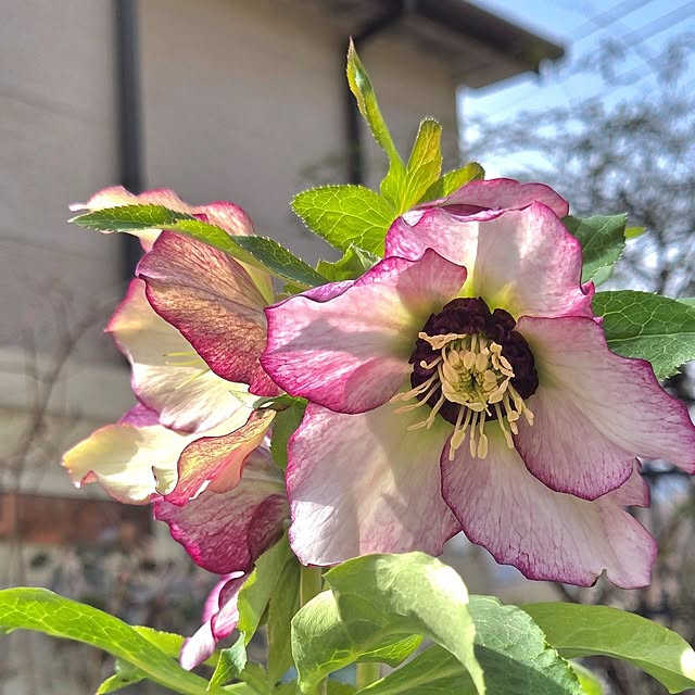 min_nimさんの実例写真
