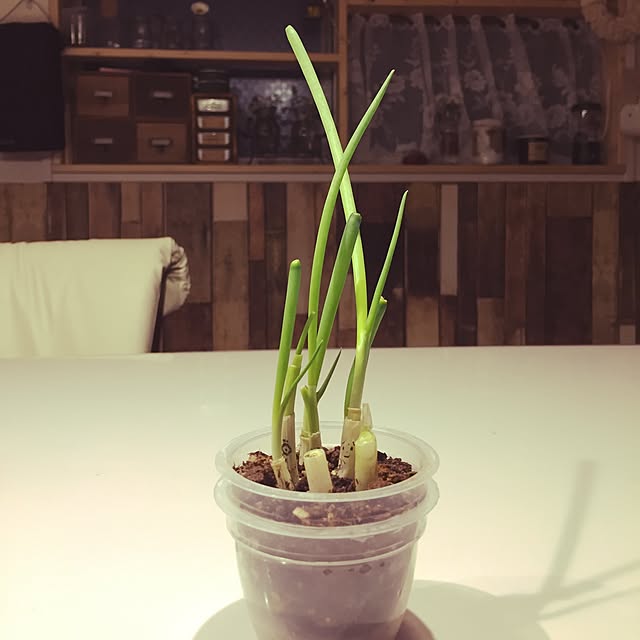 Ringo8chさんの実例写真