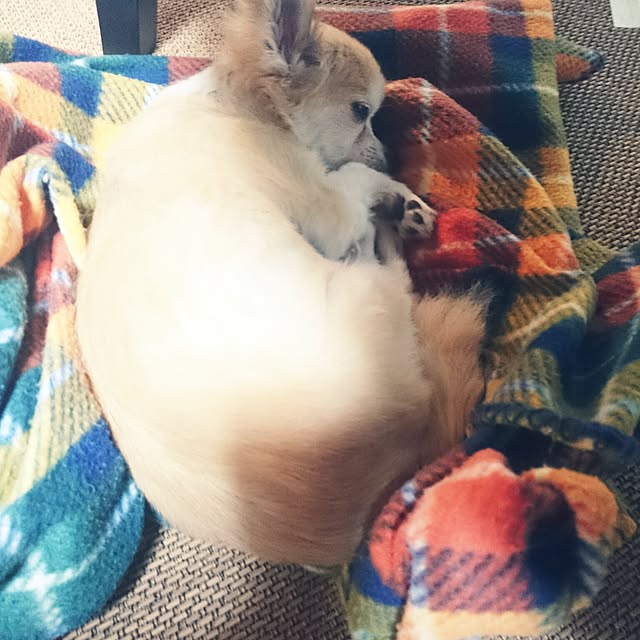 mizuさんの実例写真