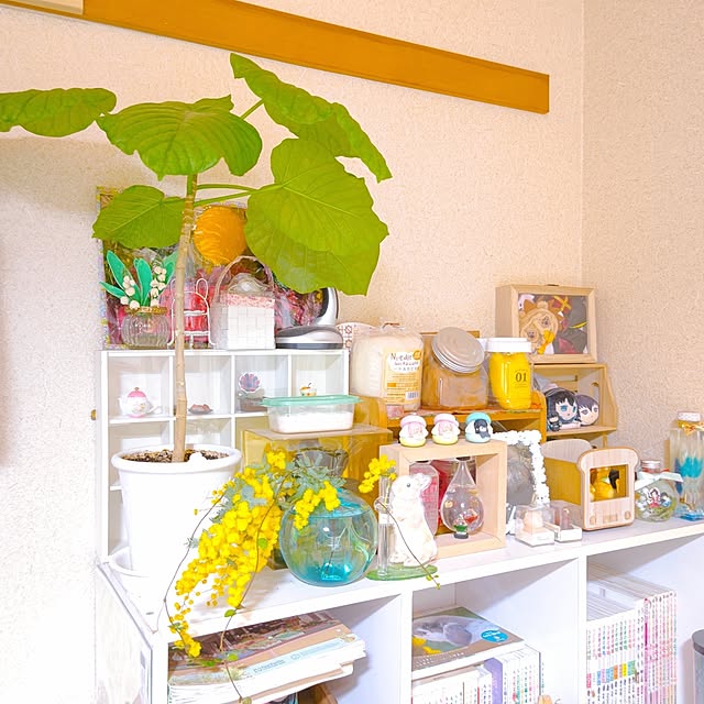mariaさんの部屋