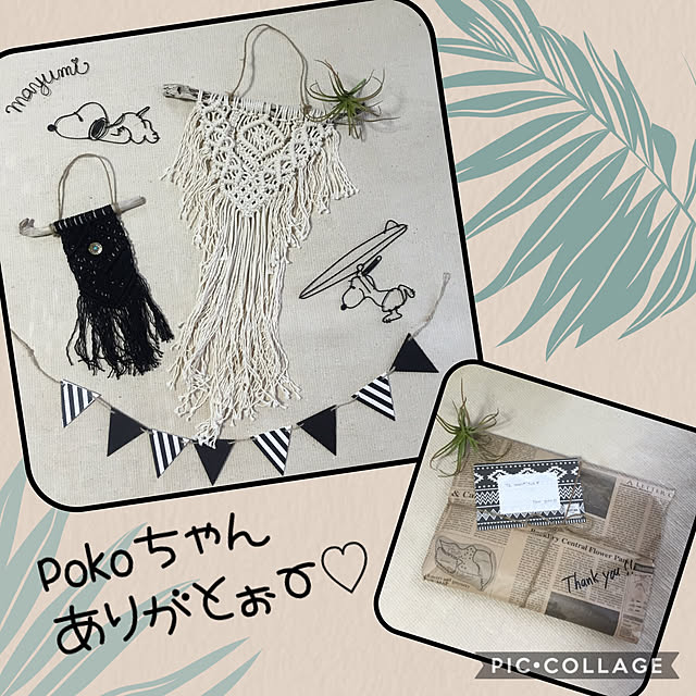 mayumiさんの実例写真