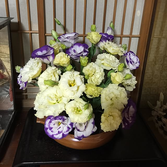 fusaさんの実例写真