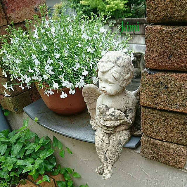 kimiさんの実例写真