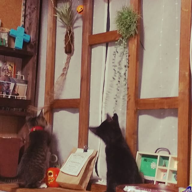 OKANさんの実例写真