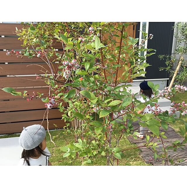 amaotoさんの実例写真
