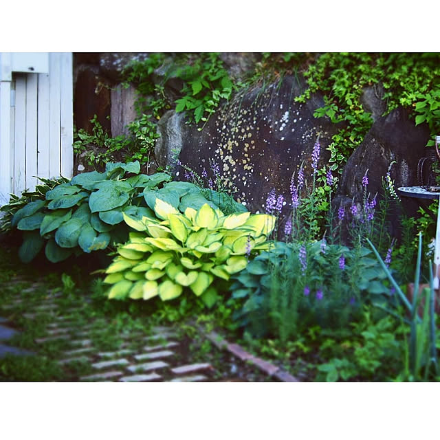 yukiさんの実例写真