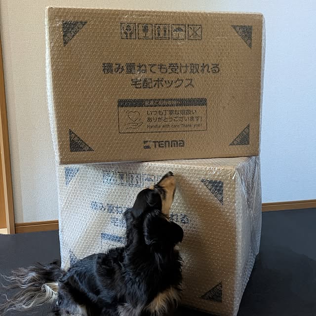 momozouさんの実例写真