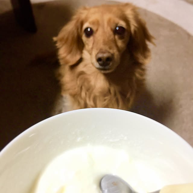 sakuさんの実例写真