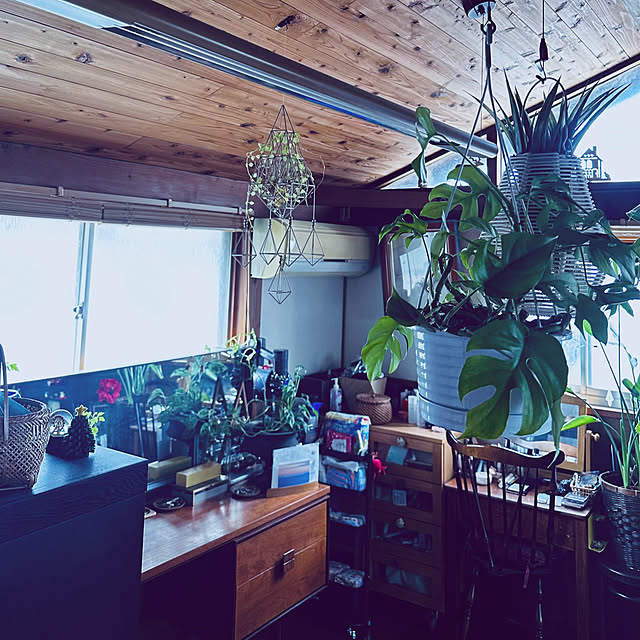 chacoさんの部屋