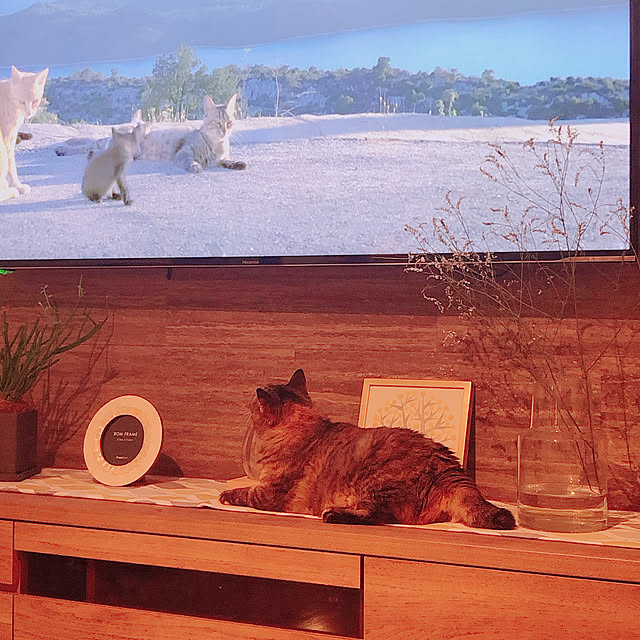 k-roomさんの実例写真
