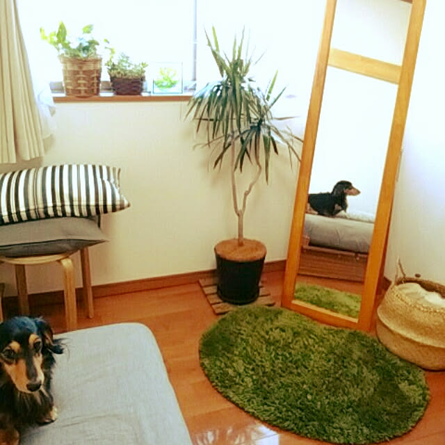 reonさんの実例写真