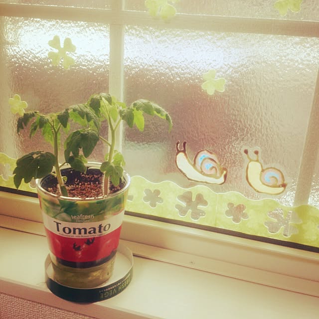 nihiさんの実例写真