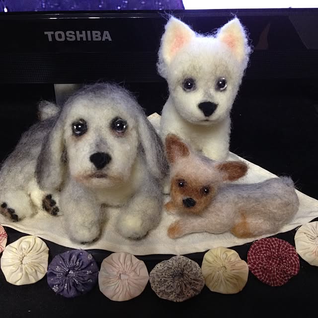 cooさんの実例写真
