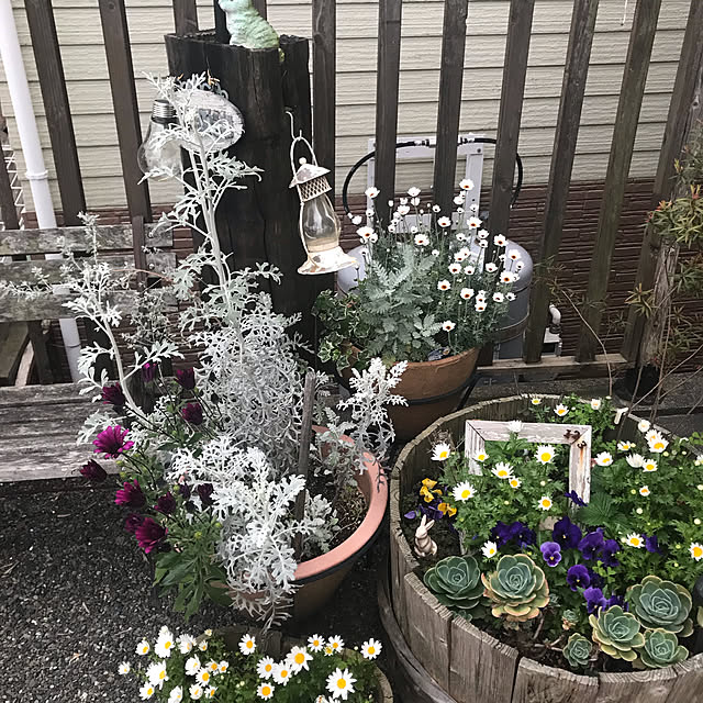 実例写真