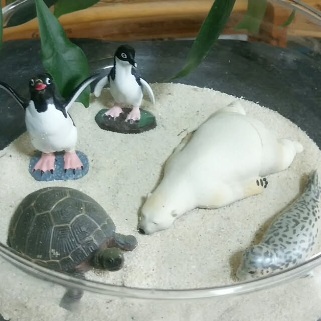 marokoさんの実例写真
