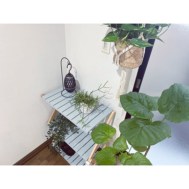 makaさんの実例写真