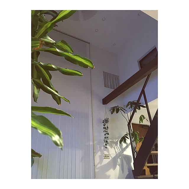 Yokoさんの実例写真